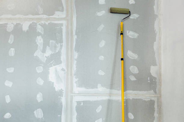 Reliable Genesee, ID Painting & Drywall Installation Solutions